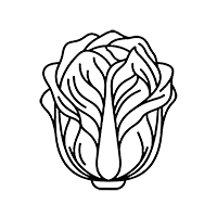 白菜导航大全 Logo