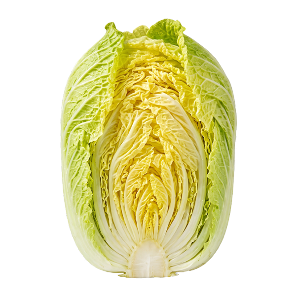 黄芽菜
