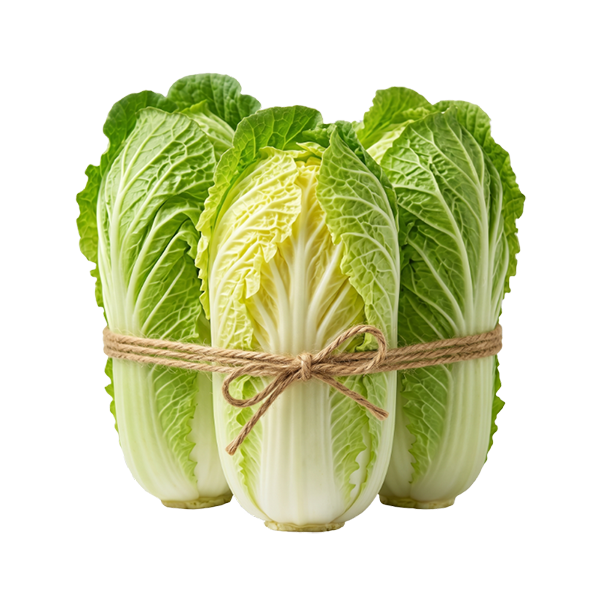 娃娃菜